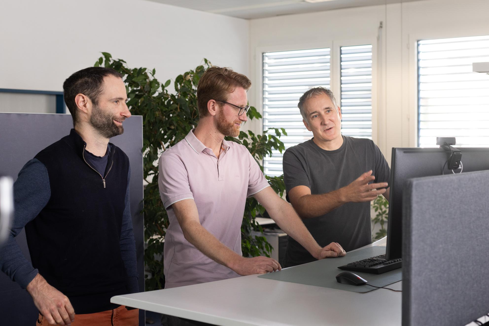 Bild von Software Audit