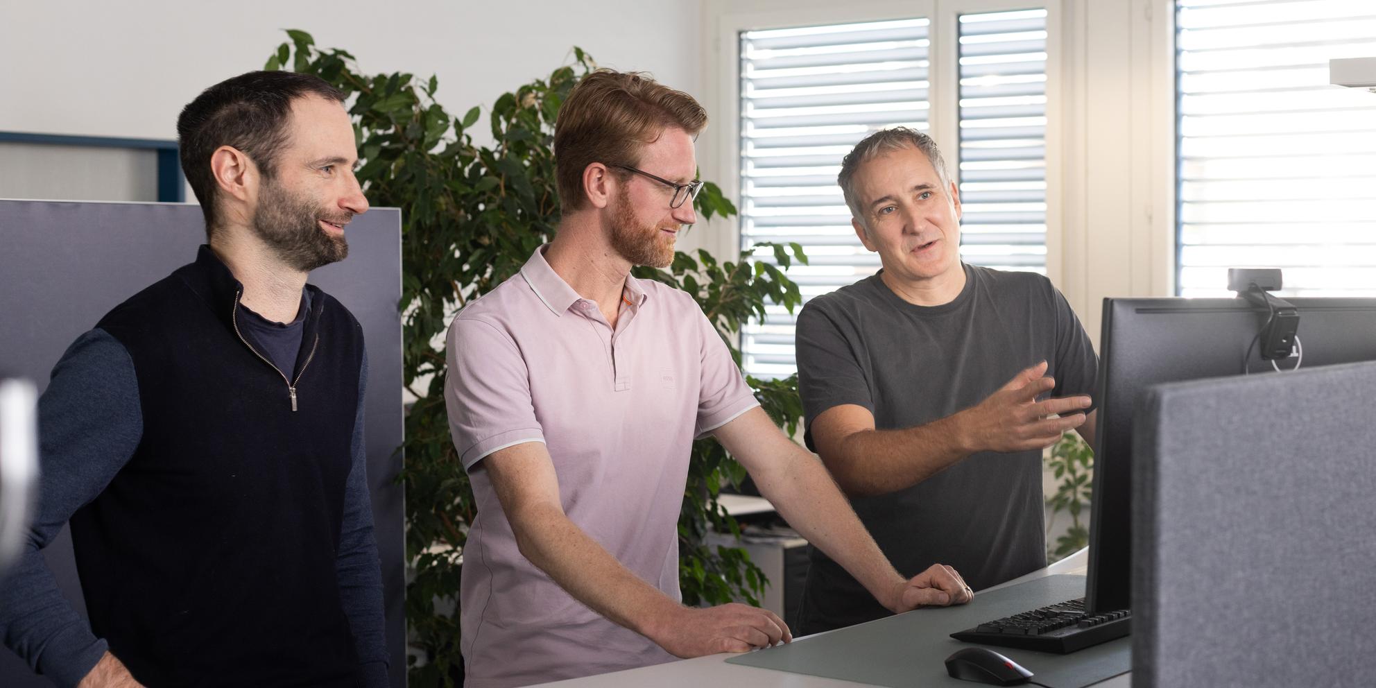 Bild von Software Audit