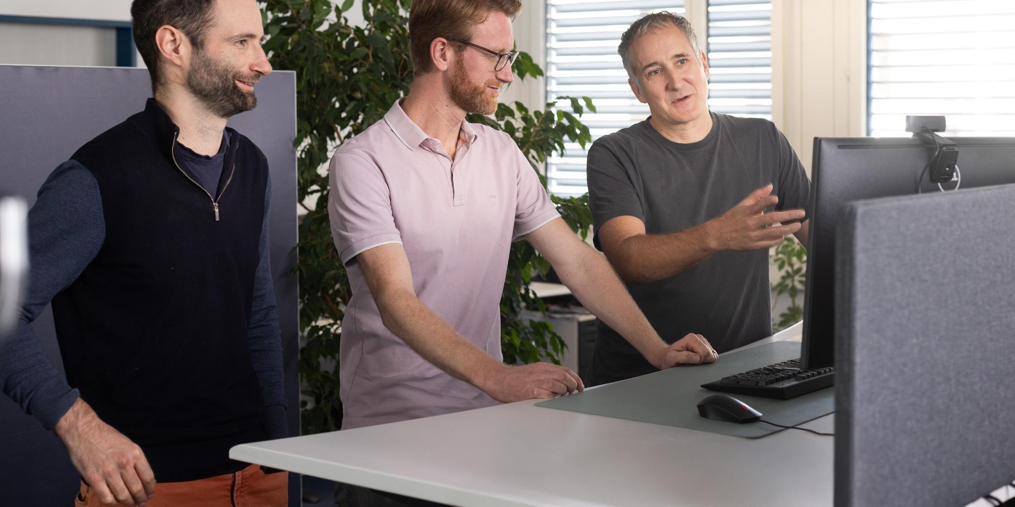 Bild von Software Audit