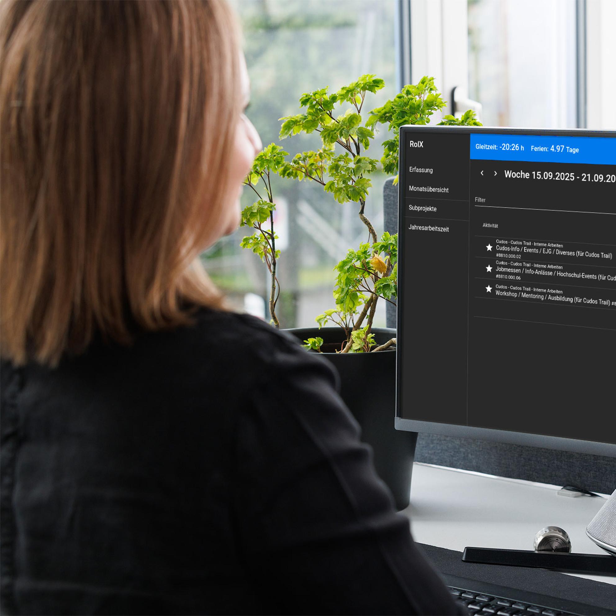 Bild von Customized Zeiterfassungstool für effizientes Projektcontrolling