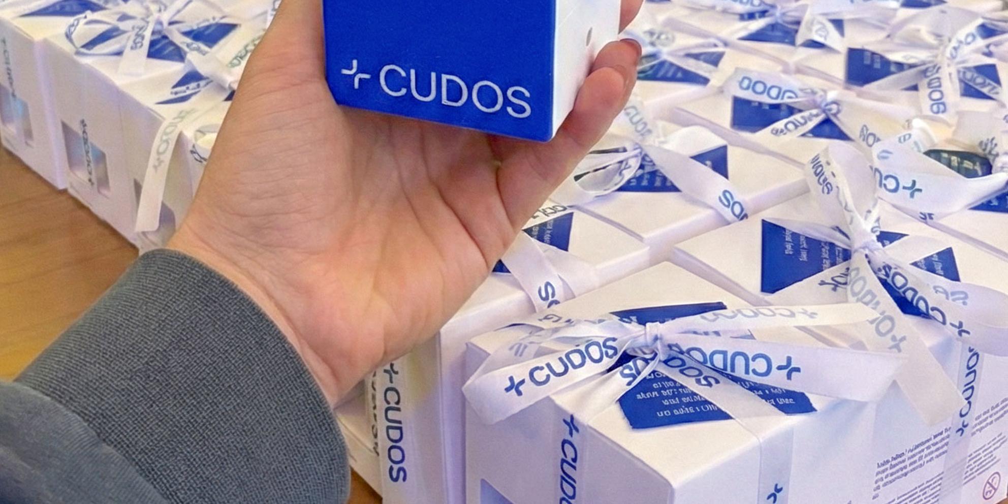 Bild von Ein Weihnachtsessen zwischen Geschichte und Zukunft